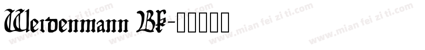 Weidenmann Bk字体转换
